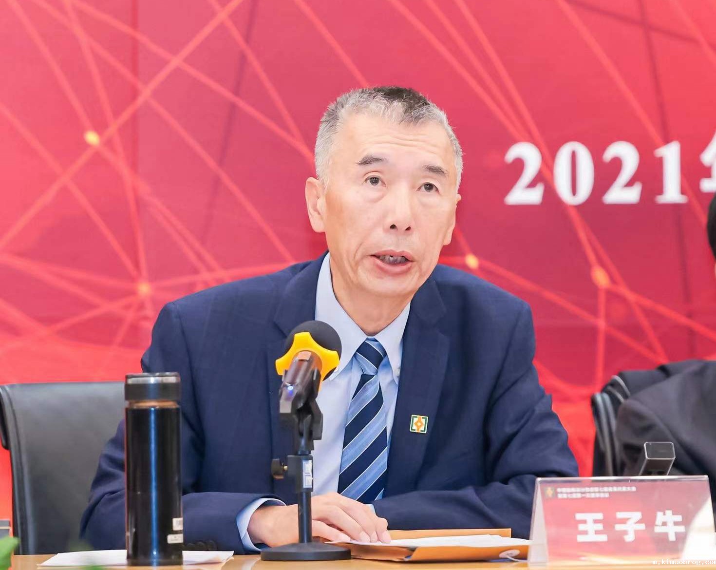 王子牛-1_副本.jpg 王子牛-1_副本.jpg