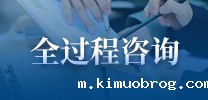 全过程咨询
